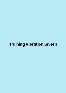 Training Vibration Level II pelatihan Vibration Level II di jakarta