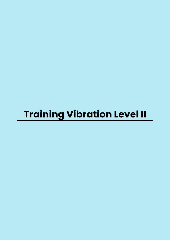 Training Vibration Level II pelatihan Vibration Level II di jakarta